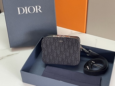 DIOR Handbags 1053